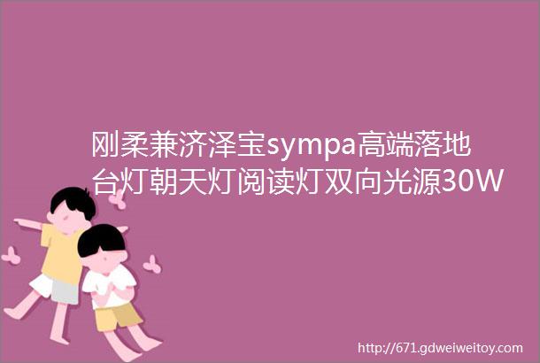 刚柔兼济泽宝sympa高端落地台灯朝天灯阅读灯双向光源30W大功率超亮格调家庭必备